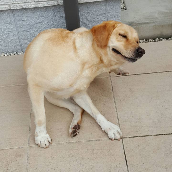 Bfc78912 b737 4761 abe5 e45b73660bcb