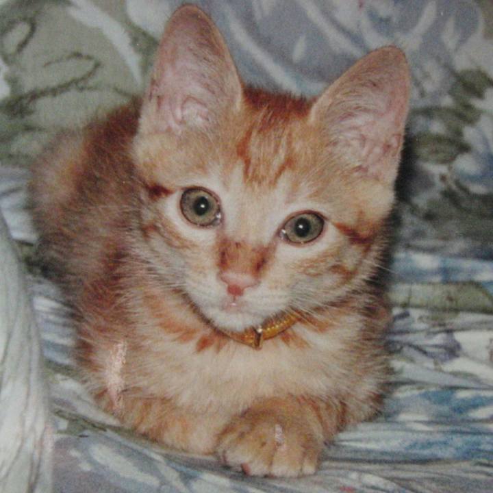 Bfc791ef 775c 4ed7 81b7 2d885d7ba116