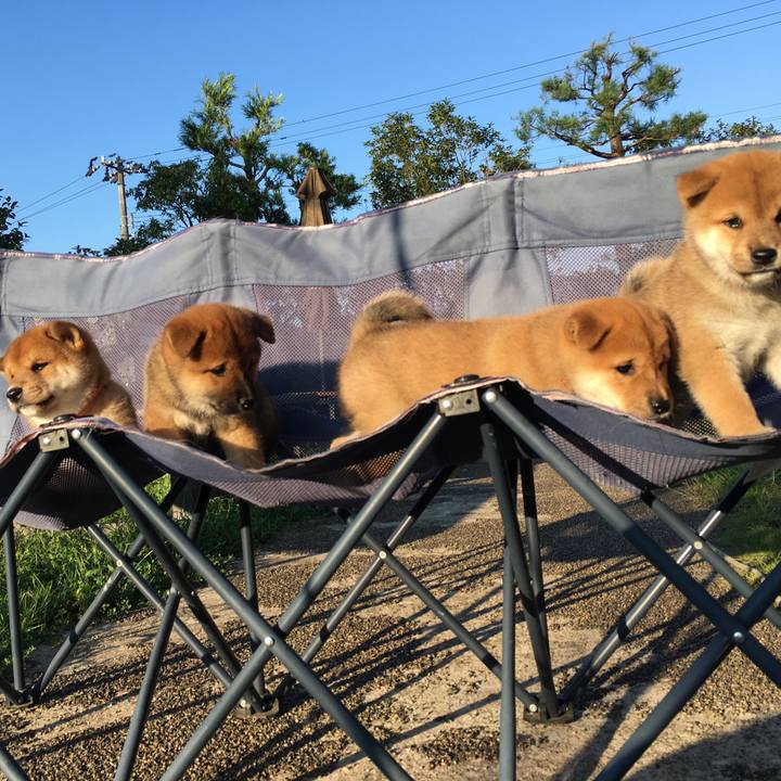 Bfc8ddcc 3cb2 4405 9de8 2b8abee396d1