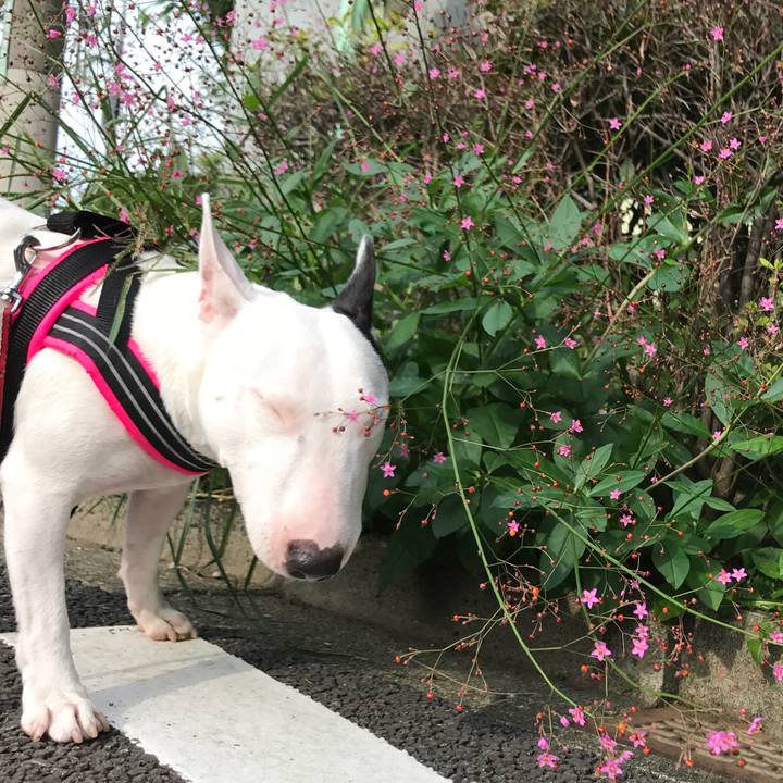 Bfc94488 fb12 4968 a18a f4c7ec7a0456