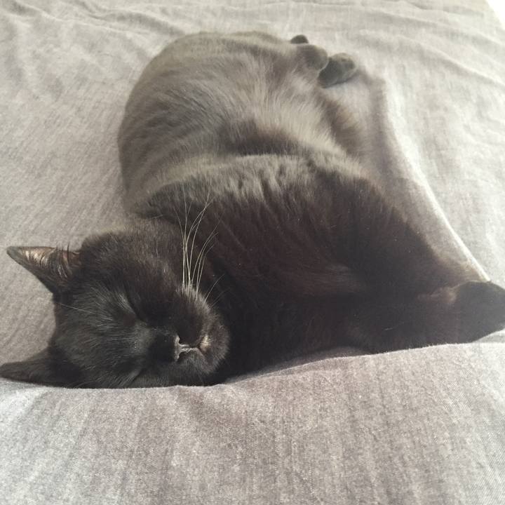 Bfca388b 2960 4062 b1c8 4ccf2df0ddd7