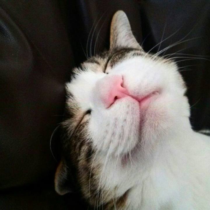 Bfca4224 875a 4d11 82af ab0c0496b533