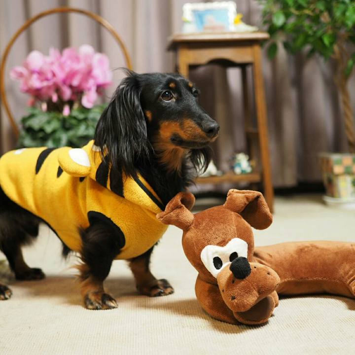 Bfca9ab1 6373 494b 9ac5 cf0e3e0d72e1