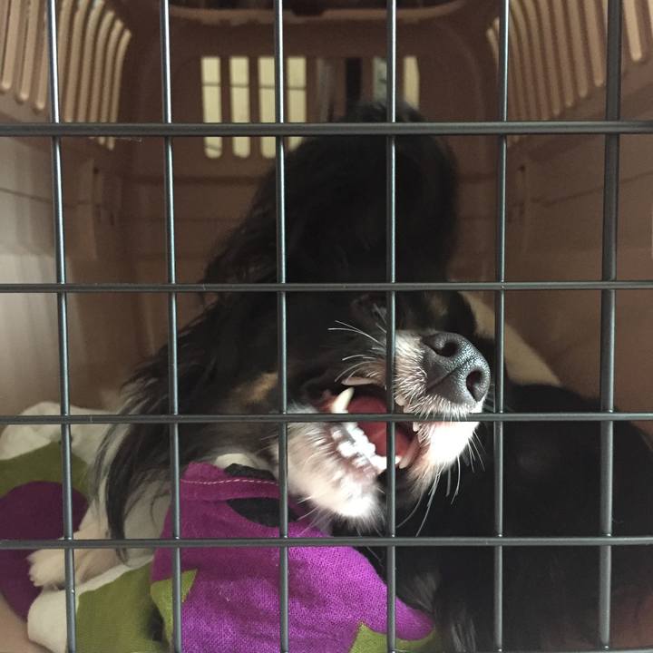 Bfcb412d 2677 4edf 89a6 9beab5132104