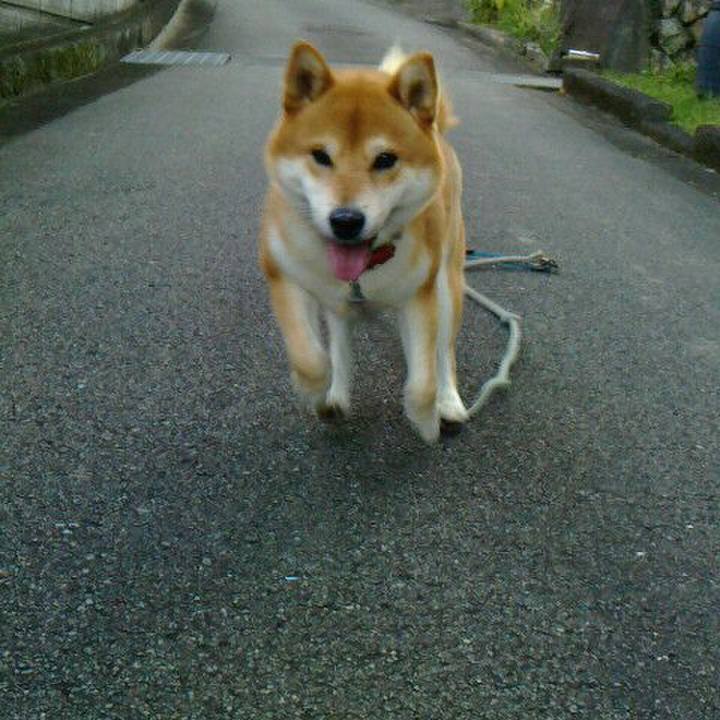 Bfcb80c5 17d7 4a45 8b7f a2d5f4425a73