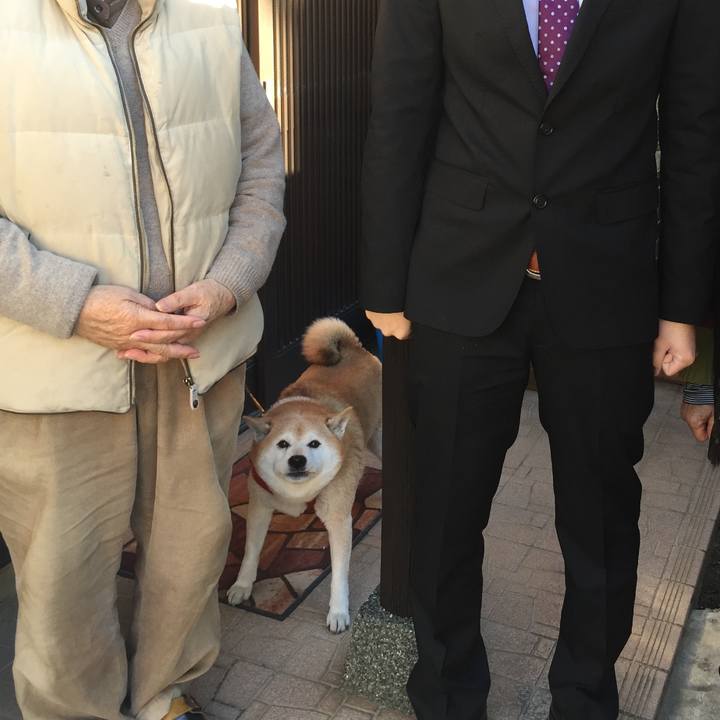 Bfcbf302 5029 4f36 a912 f2730a6a21f7