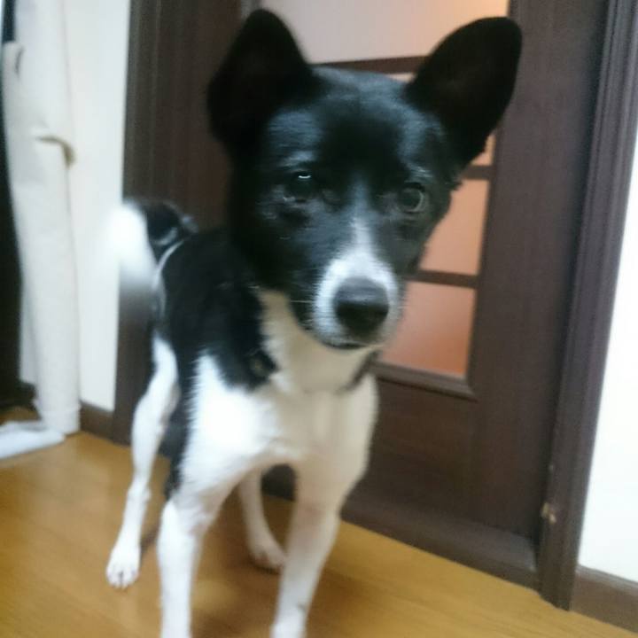 Bfcc1d3b 5961 446c a13e 3c07d05a0055