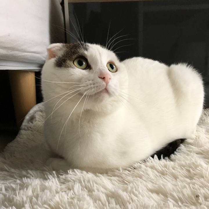 Bfcc3362 3e88 4f6c a2ba 873d179843e8