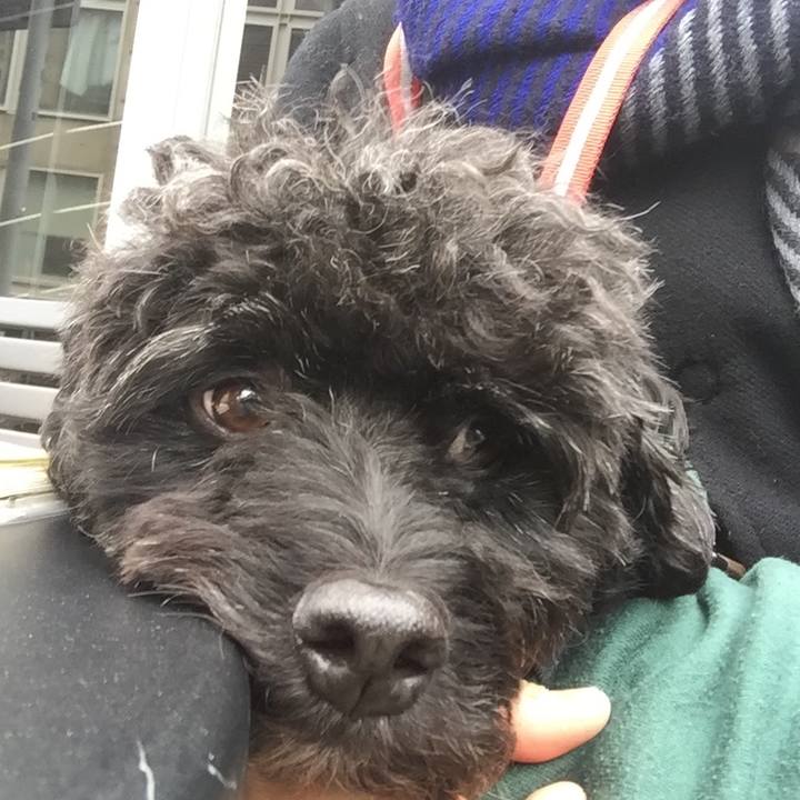 Bfcc5d95 7fae 4cda 89df 5b9f0d502b0c