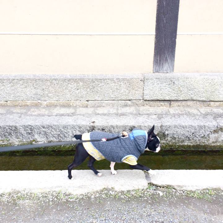 Bfcc7260 ac51 4e2e 9ba3 a9b075c6f7c8