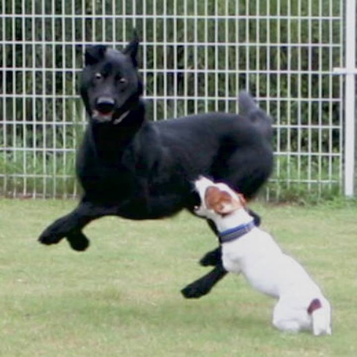 Bfcd3651 e9ee 4366 93fa fff97eb4c921