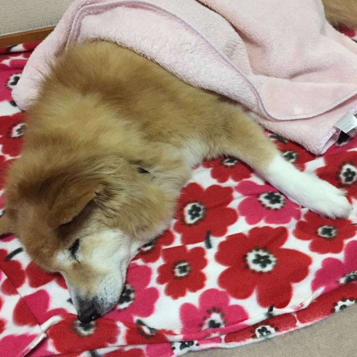 Bfcdb714 8720 4ac4 b070 99e814c47118