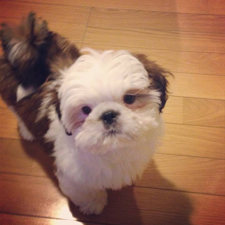 Bfcebcc1 d08d 48a6 9122 d44a0f182371