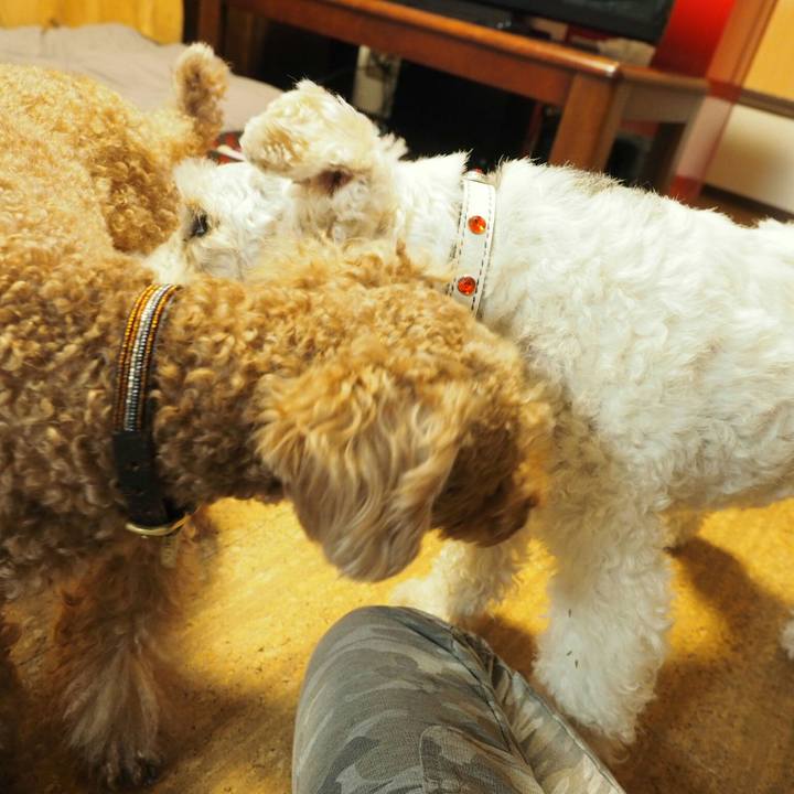 Bfcf5abb 57b5 4ea0 9cca 5b07decb3ecf