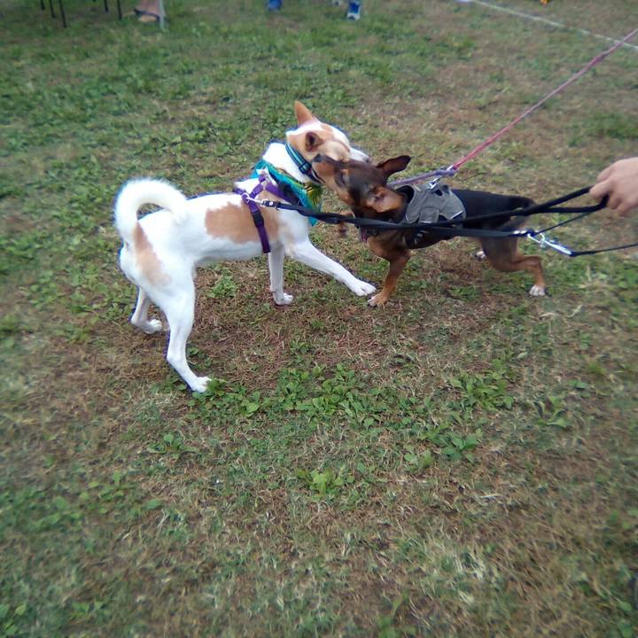 Bfcf5dac 477f 425e bd79 7ea0cd8f6e99