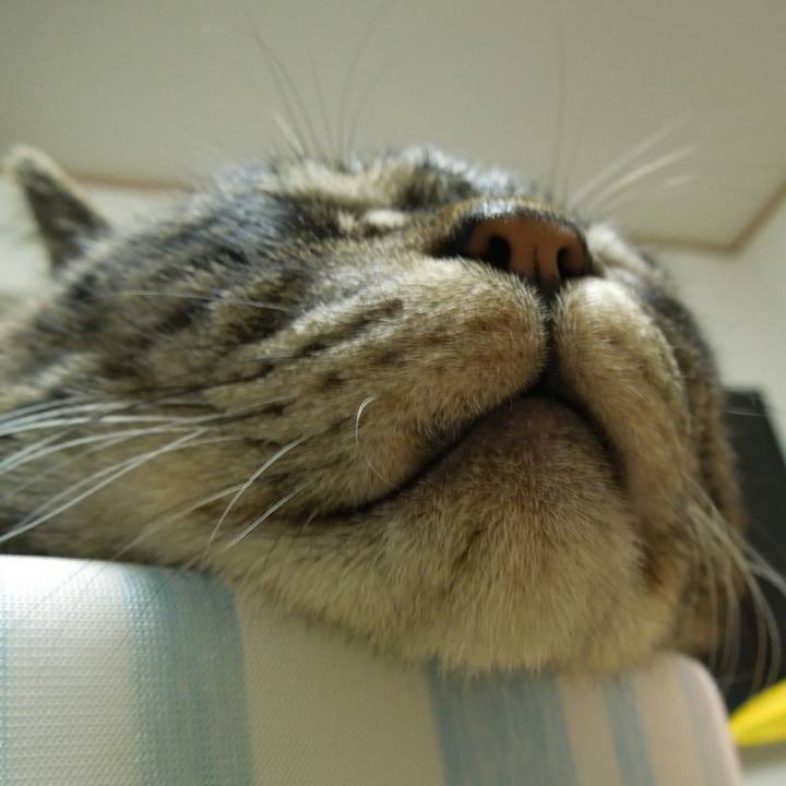 Bfd04c01 4eb7 4035 b282 74a915f1789f