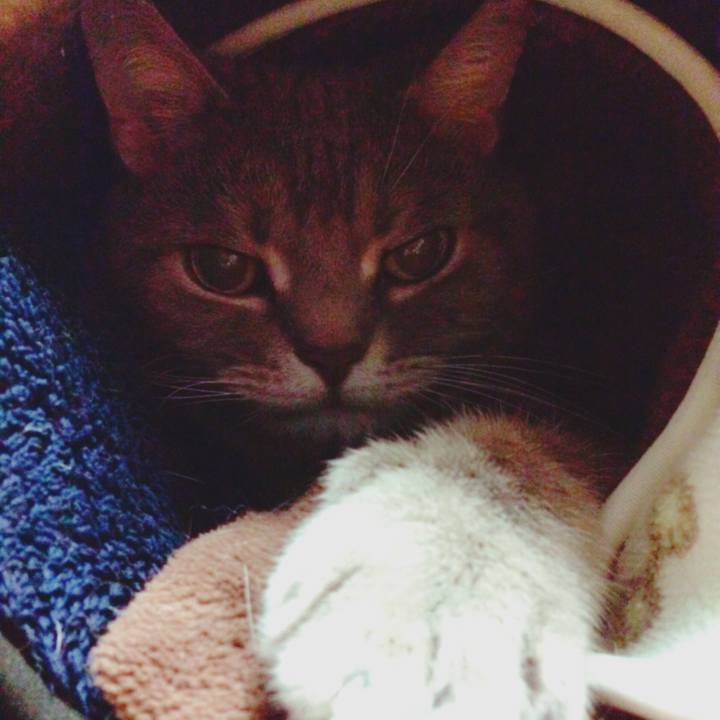 Bfd08a1f 29d9 46eb a0e2 2445616ace01