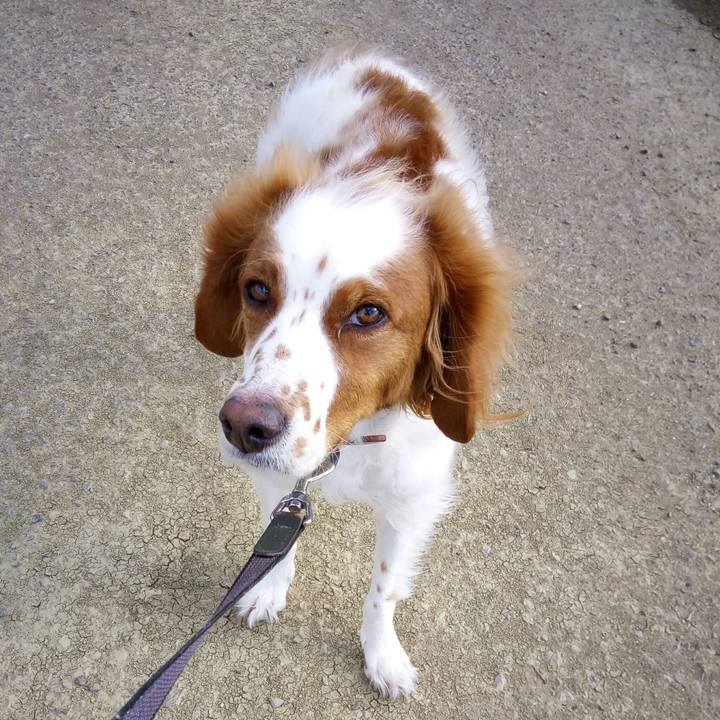 Bfd0a7b3 1364 4133 99cd 380c97302125