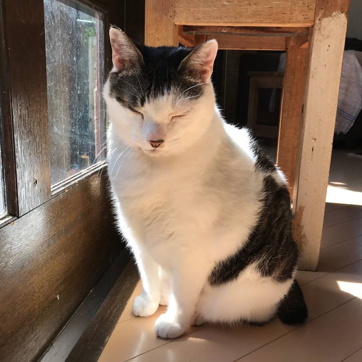 Bfd0e3f7 0f7f 4e5d a495 1592b827f3b3