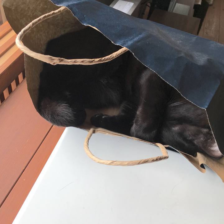 Bfd12062 03e4 4edb b0a9 b3f3dd899c4d