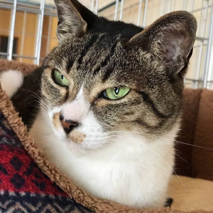 Bfd19873 5359 4550 8b8d 1f8f069ea195