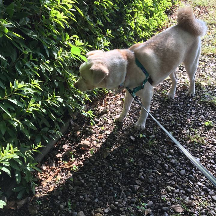 Bfd1ed73 d73d 4821 b9ea dc79c1e00995