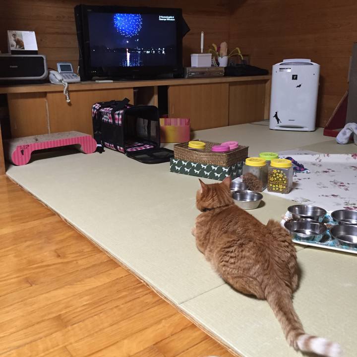 Bfd242a9 5a14 4780 9130 46c9aa16aa35