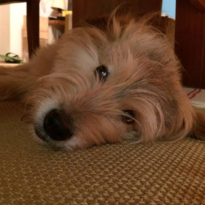 Bfd305bb d251 423a a35b 4ff1aed41216