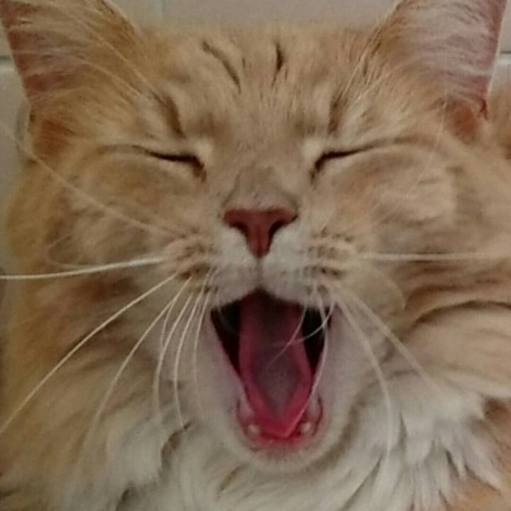 Bfd315ef 74aa 4230 a2a2 28df895607ed