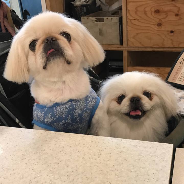 Bfd380fb 20dc 4dff 8c07 a18b44a4d973