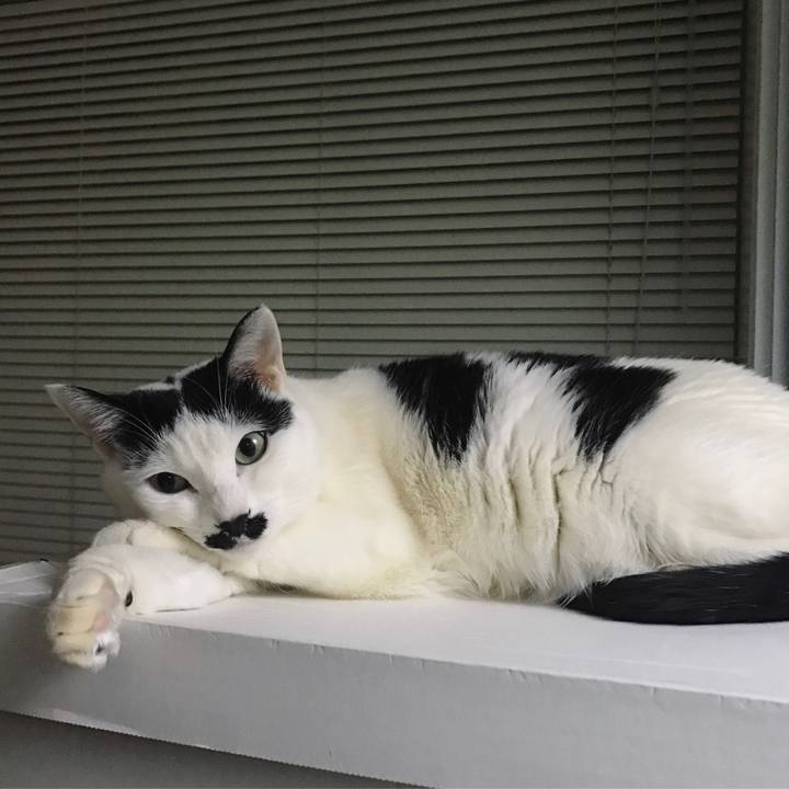 Bfd39887 0925 4ea4 8e77 3e62ddcacdd9