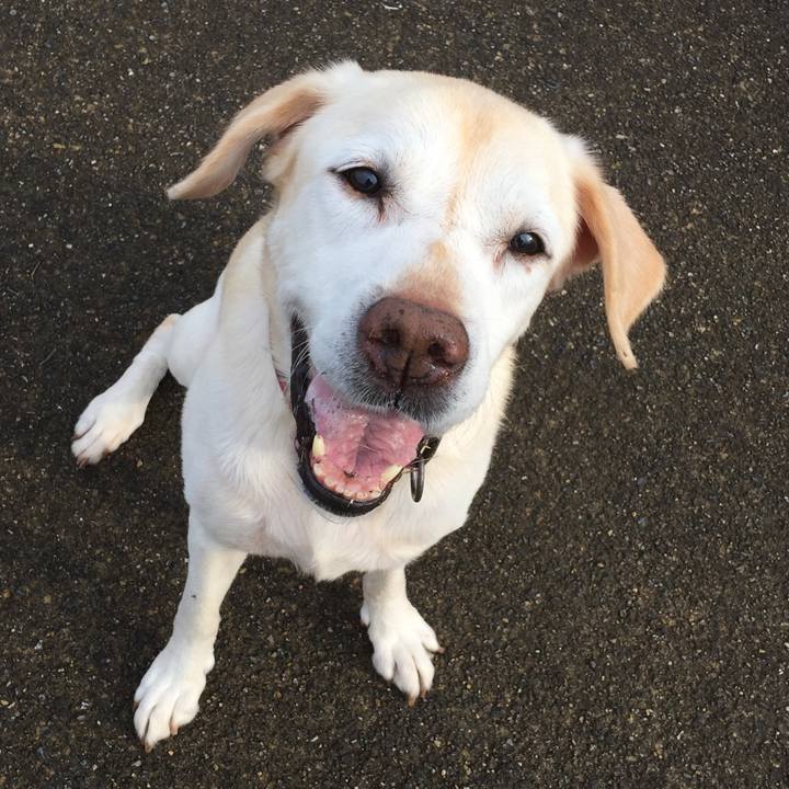 Bfd3a1cf 2670 4864 9007 be87fdf4c3d6