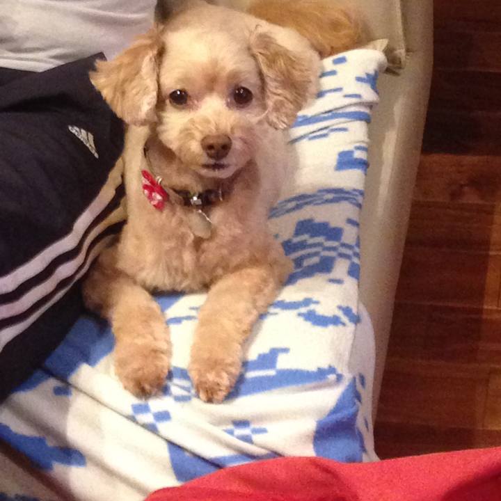 Bfd457a0 6d0a 4eb6 b336 911393a1aa86