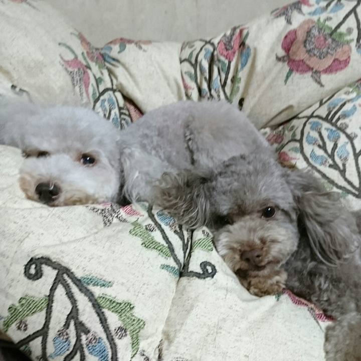 Bfd4fb04 daa1 44c1 82ff 613ea8624ce3