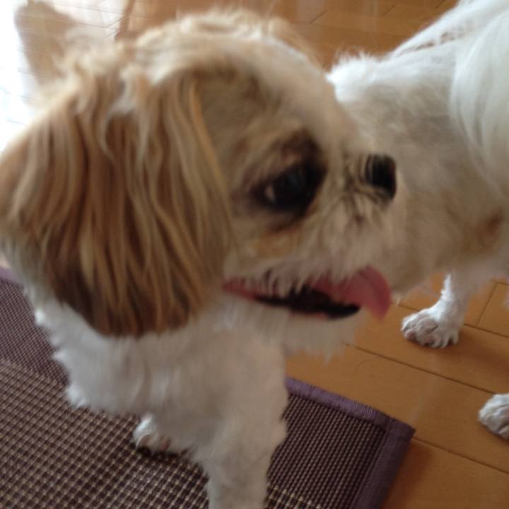 Bfd56305 185d 4500 a213 a13fafbbb31f