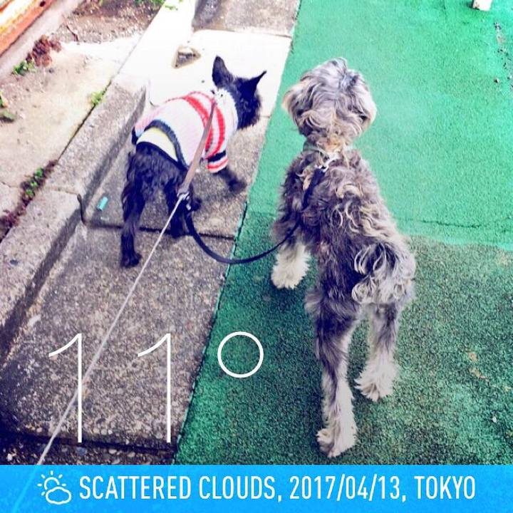 Bfd578a2 7836 452b 8f3d fc2d33624f4b