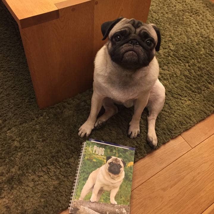 Bfd67712 55ed 4f82 a67a cb9e5fd35874