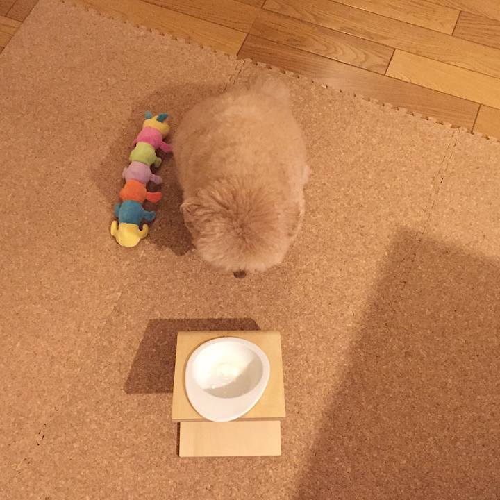 Bfd6eb6a 93cd 4ceb 9d4a a235b947b51c