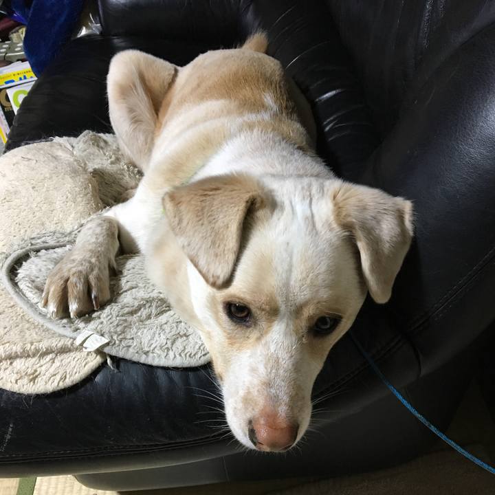 Bfd7183d dbd0 4d1e 8c39 bb994836bc70