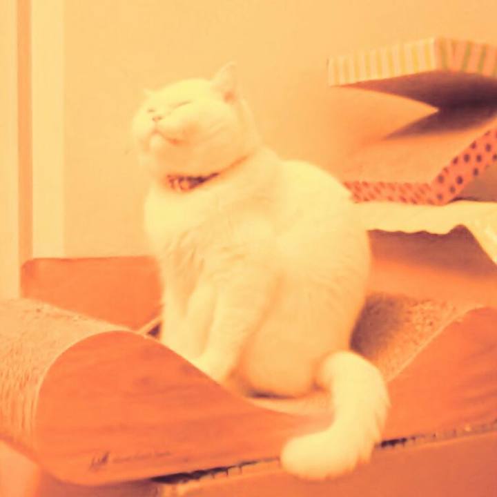 Bfd73cbc 3f68 4518 9325 9a09f2bdfa74