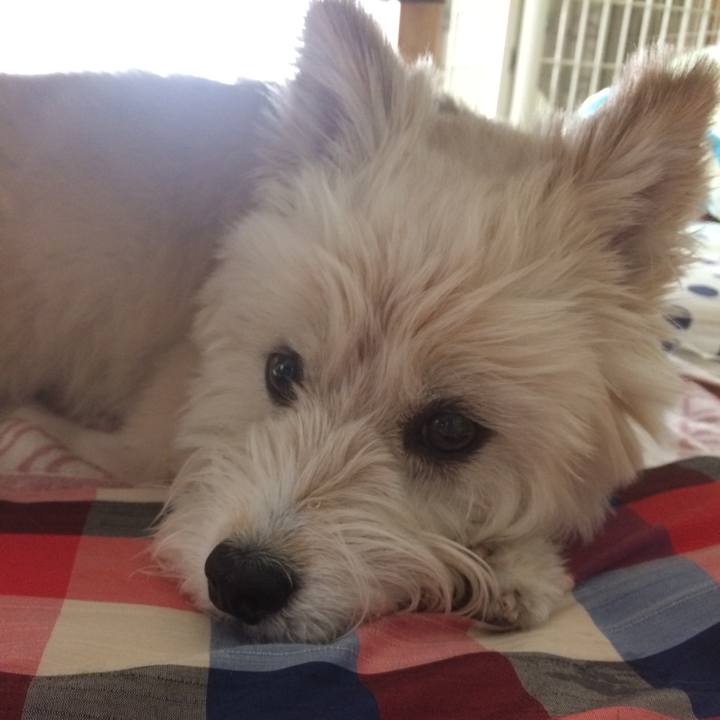 Bfd90de1 8877 474c 8e7a 3594536bb8c0