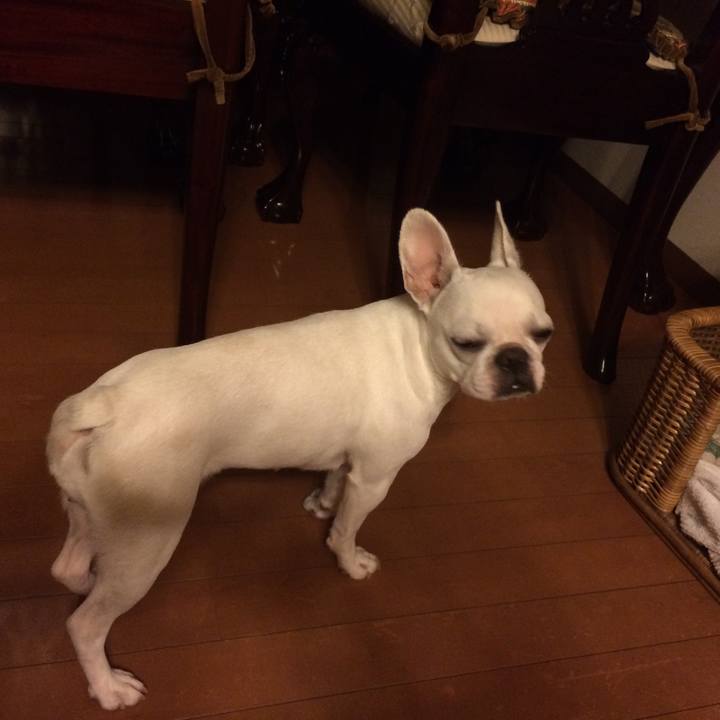 Bfd95855 0a80 435b b9d3 6760cf891eb7