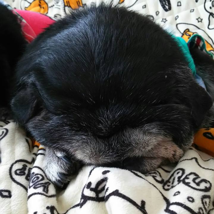 Bfd97f35 a700 4bc3 957e 1cd42980fb9f