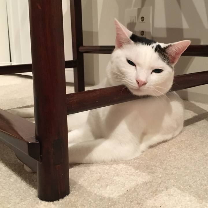 Bfd9e64c 3694 4c27 8a5a e92c2307bcdc