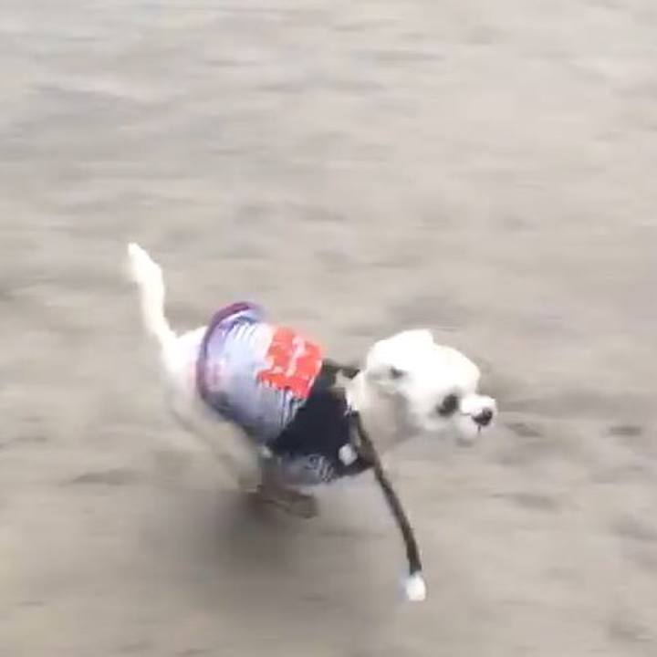 Bfda2118 bda9 400a 82c2 4842195ab3e4