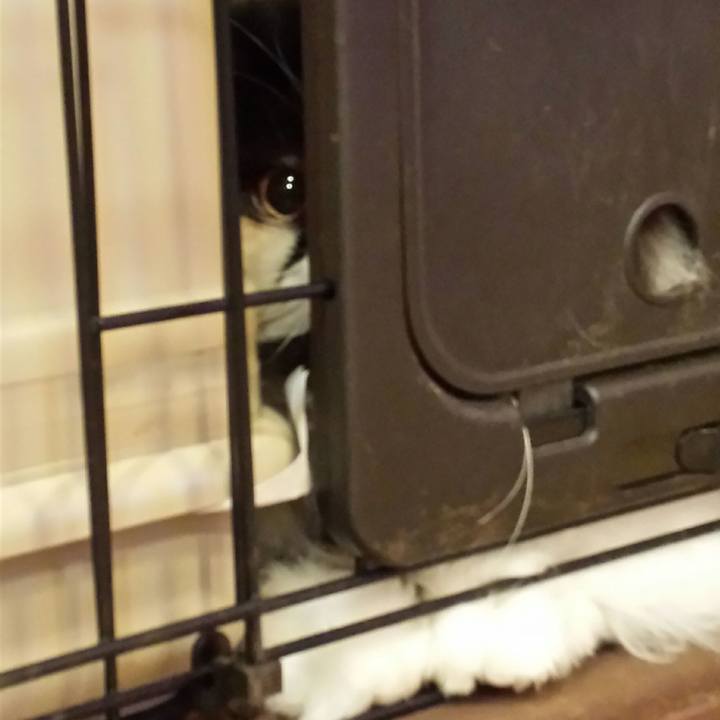 Bfda3b6e 407e 4bb8 b410 fd5b44c8115c