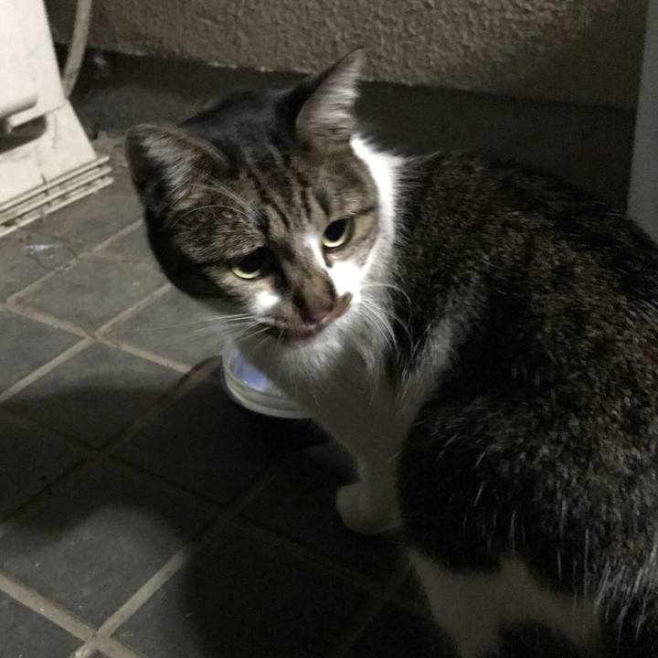 Bfda4dcf cf63 4b59 b2a2 bee56ae8a1f9