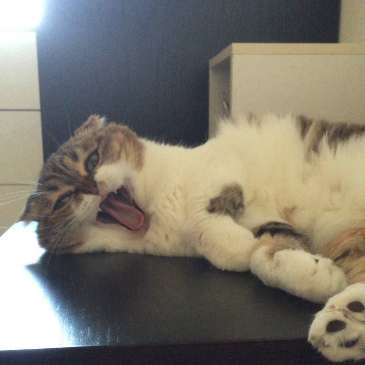 Bfda8df8 f01b 496d 8676 b2e392d7f0f3