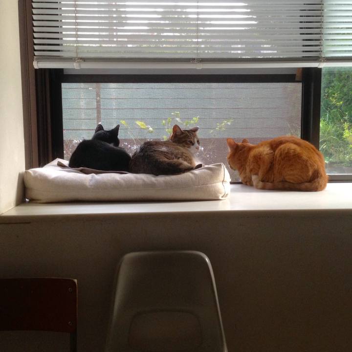 Bfdb36ef 4f32 45bd b6d3 7c7a377e5f04