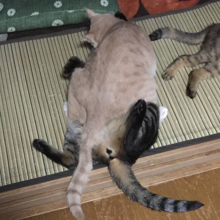 Bfdb6378 7f33 40b6 a37a 25db86c48778